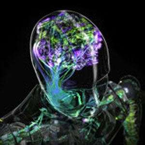 Influence of AI on Supply Chain Management